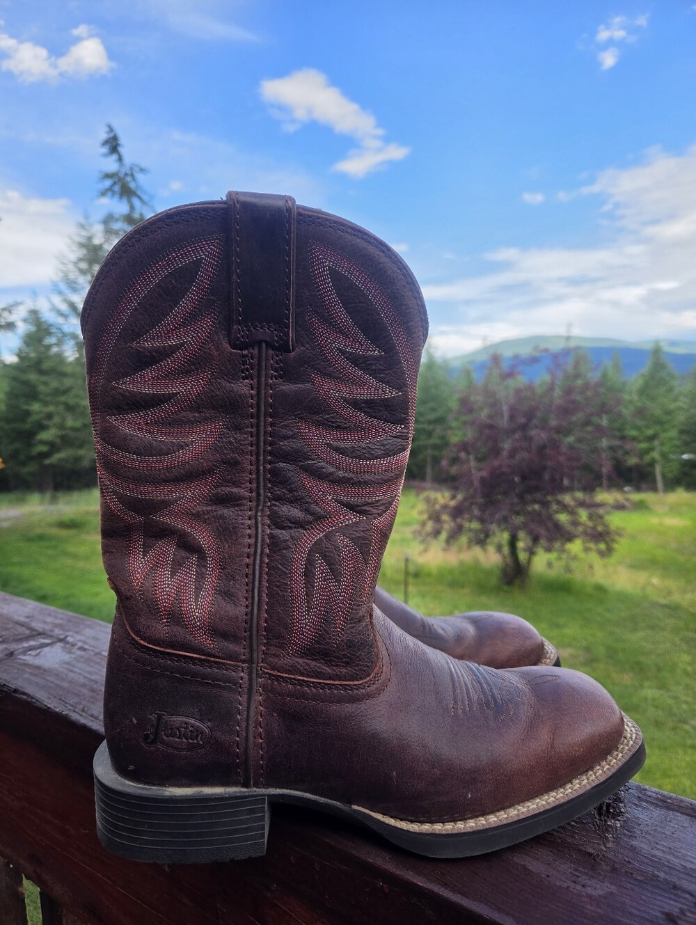 Justin Cowgirl Boots - Picture 3 of 7